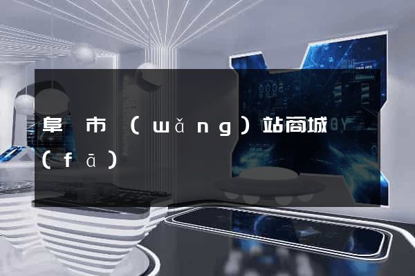 阜陽市網(wǎng)站商城開發(fā)