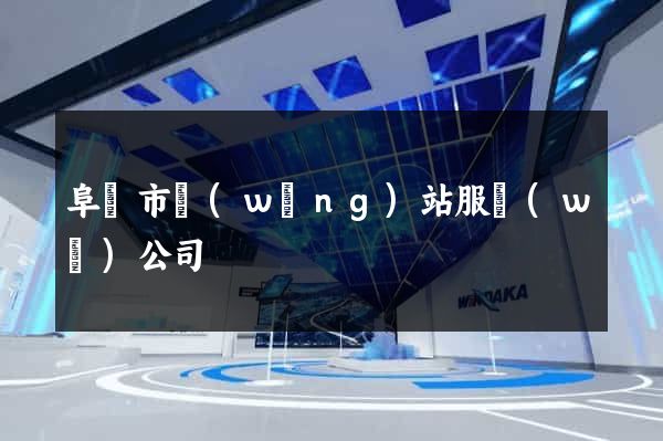 阜陽市網(wǎng)站服務(wù)公司