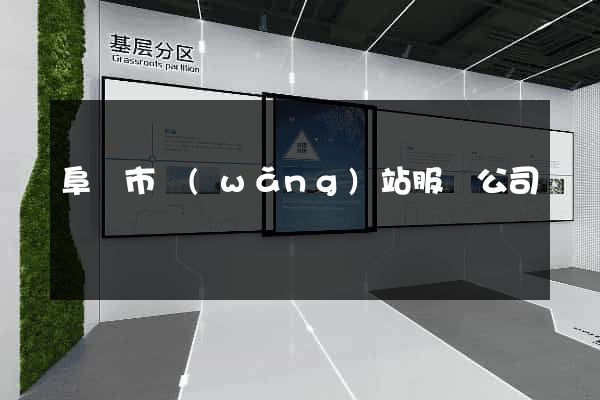 阜陽市網(wǎng)站服務公司