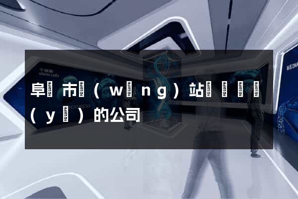 阜陽市網(wǎng)站設計專業(yè)的公司