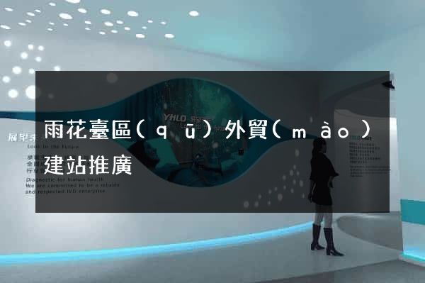 雨花臺區(qū)外貿(mào)建站推廣
