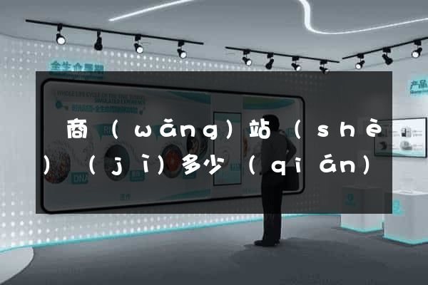 電商網(wǎng)站設(shè)計(jì)多少錢(qián)