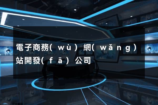 電子商務(wù)網(wǎng)站開發(fā)公司