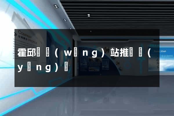霍邱縣網(wǎng)站推廣營(yíng)銷