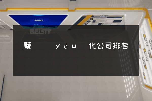 靈璧縣優(yōu)化公司排名
