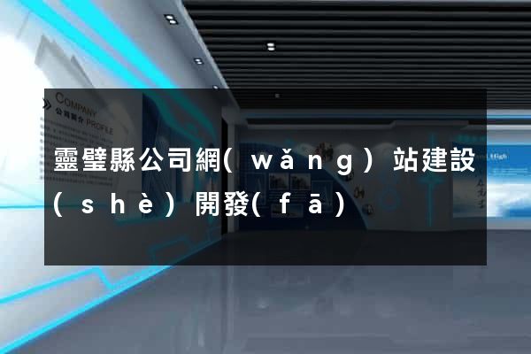 靈璧縣公司網(wǎng)站建設(shè)開發(fā)