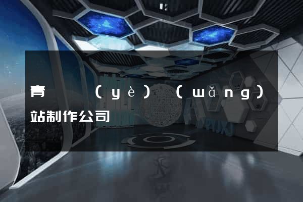 青島專業(yè)網(wǎng)站制作公司