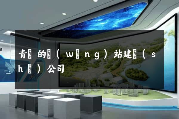 青島的網(wǎng)站建設(shè)公司
