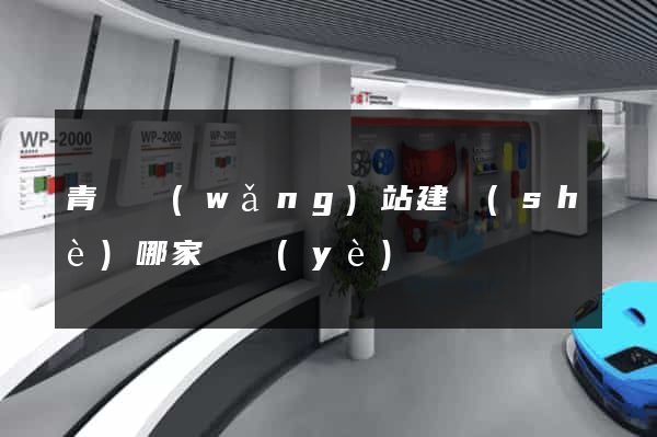 青島網(wǎng)站建設(shè)哪家專業(yè)