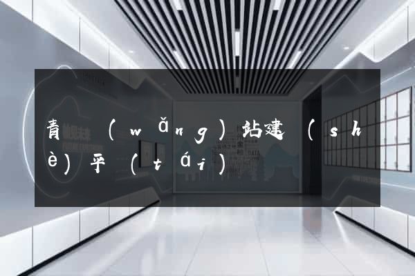 青島網(wǎng)站建設(shè)平臺(tái)