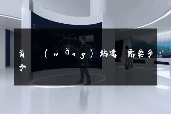 青島網(wǎng)站建設需要多少錢