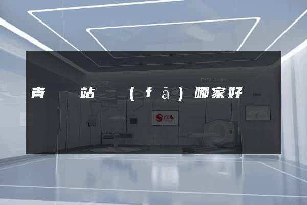 青島網站開發(fā)哪家好