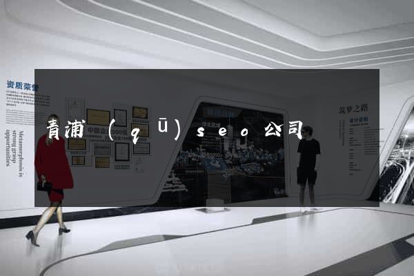 青浦區(qū)seo公司