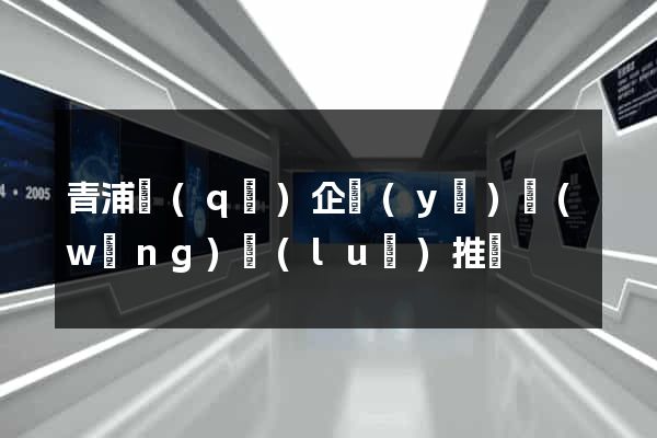 青浦區(qū)企業(yè)網(wǎng)絡(luò)推廣