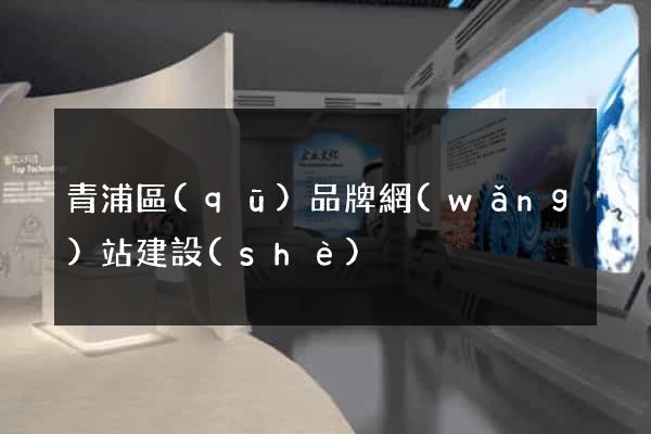 青浦區(qū)品牌網(wǎng)站建設(shè)