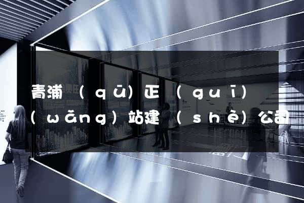 青浦區(qū)正規(guī)網(wǎng)站建設(shè)公司