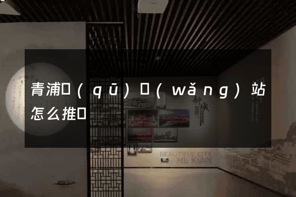 青浦區(qū)網(wǎng)站怎么推廣