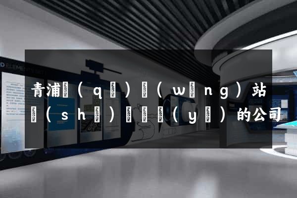 青浦區(qū)網(wǎng)站設(shè)計專業(yè)的公司