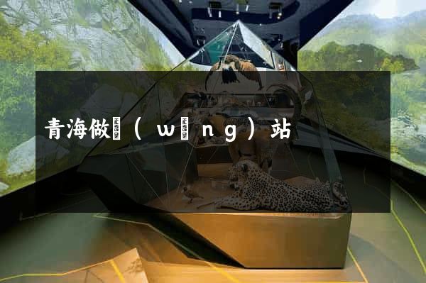 青海做網(wǎng)站