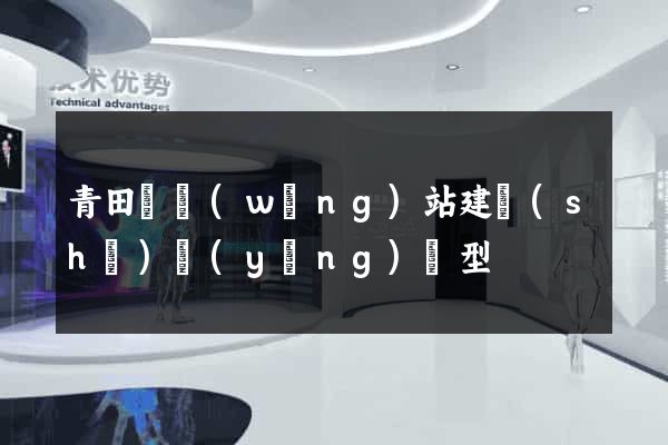 青田縣網(wǎng)站建設(shè)營(yíng)銷型