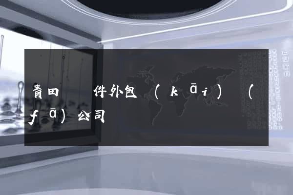 青田縣軟件外包開(kāi)發(fā)公司