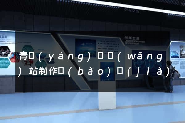 青陽(yáng)縣網(wǎng)站制作報(bào)價(jià)