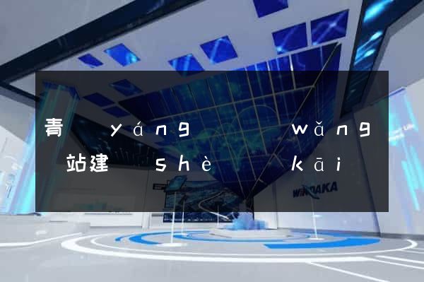 青陽(yáng)縣網(wǎng)站建設(shè)開(kāi)發(fā)