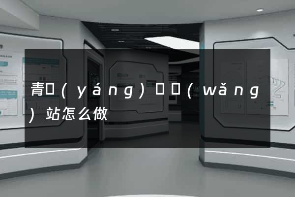 青陽(yáng)縣網(wǎng)站怎么做