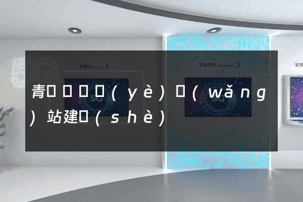 青陽縣專業(yè)網(wǎng)站建設(shè)