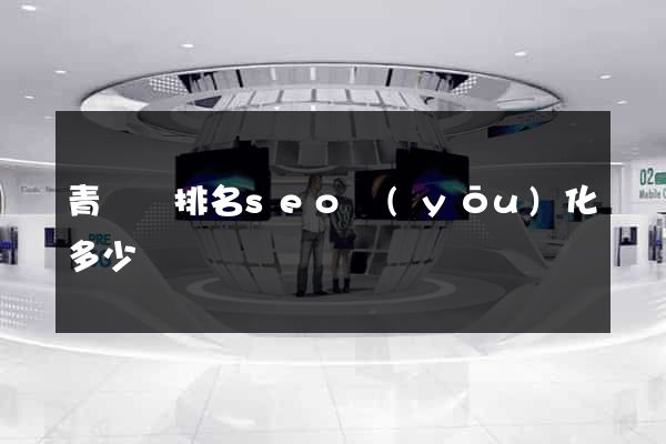 青陽縣排名seo優(yōu)化多少錢