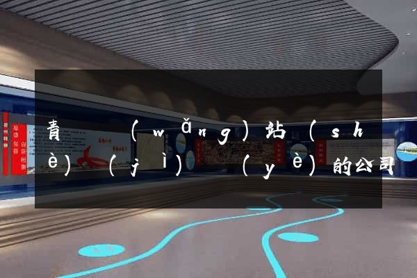 青陽縣網(wǎng)站設(shè)計(jì)專業(yè)的公司