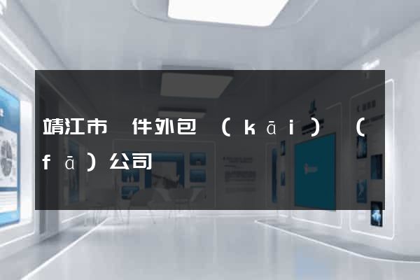 靖江市軟件外包開(kāi)發(fā)公司