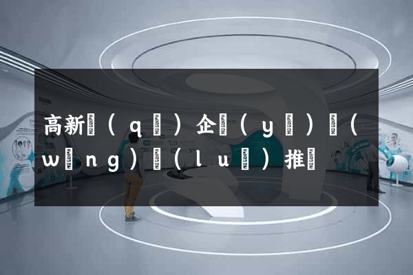 高新區(qū)企業(yè)網(wǎng)絡(luò)推廣