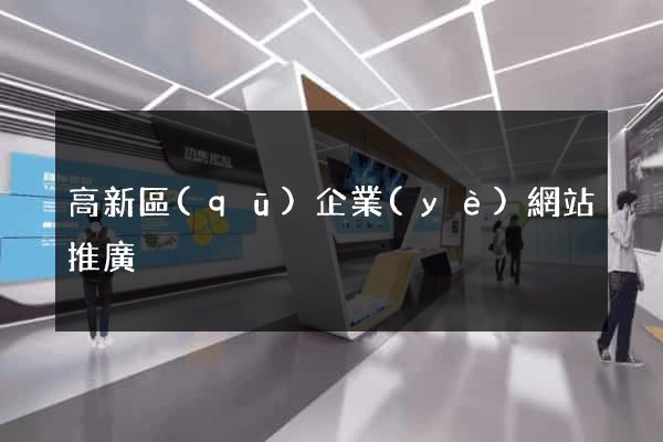 高新區(qū)企業(yè)網站推廣