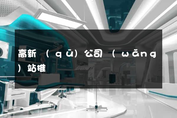 高新區(qū)公司網(wǎng)站推廣
