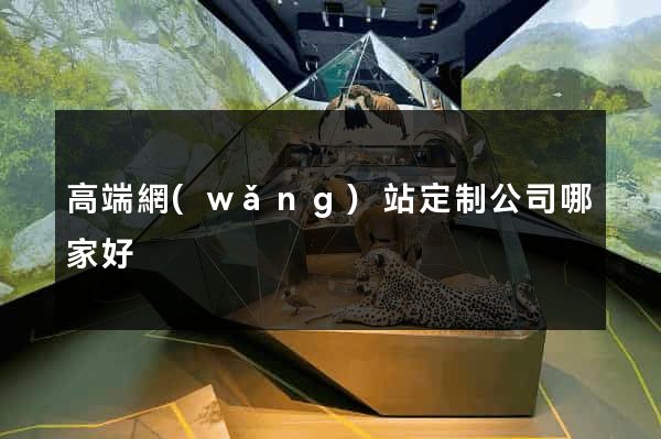 高端網(wǎng)站定制公司哪家好