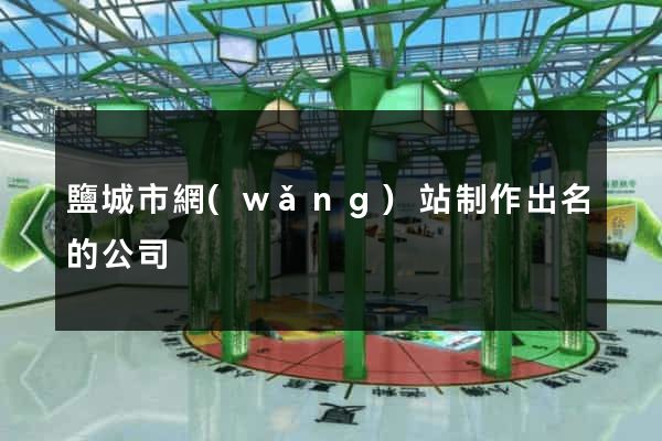 鹽城市網(wǎng)站制作出名的公司