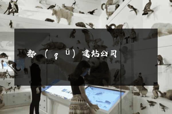 鹽都區(qū)建站公司