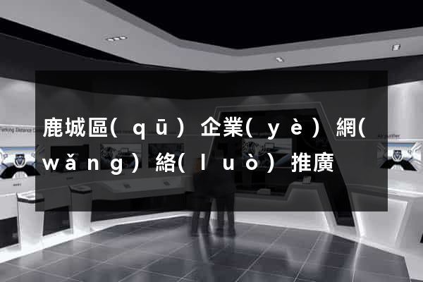 鹿城區(qū)企業(yè)網(wǎng)絡(luò)推廣