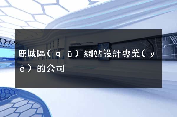 鹿城區(qū)網站設計專業(yè)的公司