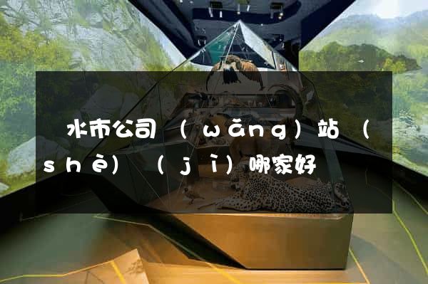麗水市公司網(wǎng)站設(shè)計(jì)哪家好