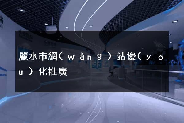 麗水市網(wǎng)站優(yōu)化推廣