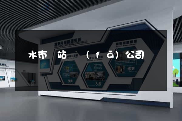麗水市網站開發(fā)公司