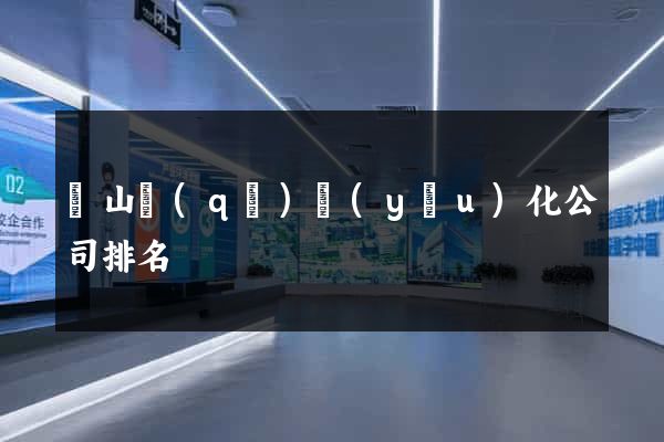 黃山區(qū)優(yōu)化公司排名