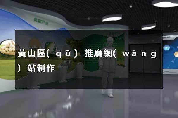 黃山區(qū)推廣網(wǎng)站制作