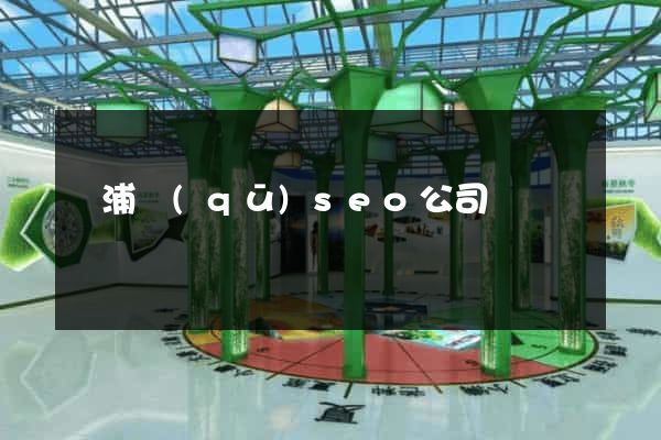 黃浦區(qū)seo公司