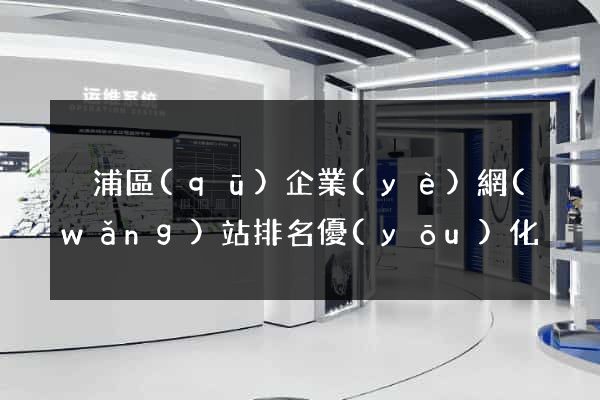 黃浦區(qū)企業(yè)網(wǎng)站排名優(yōu)化