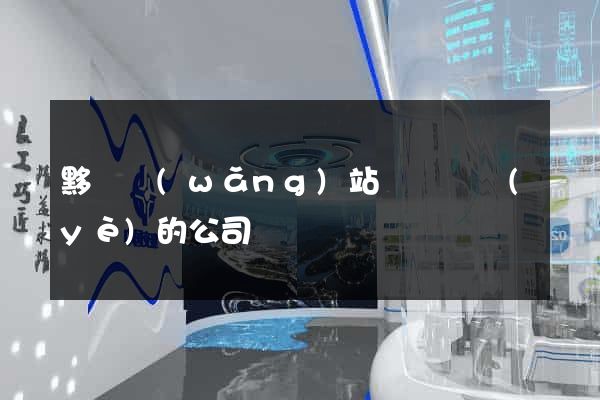 黟縣網(wǎng)站設計專業(yè)的公司