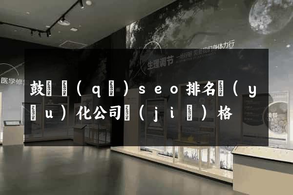 鼓樓區(qū)seo排名優(yōu)化公司價(jià)格