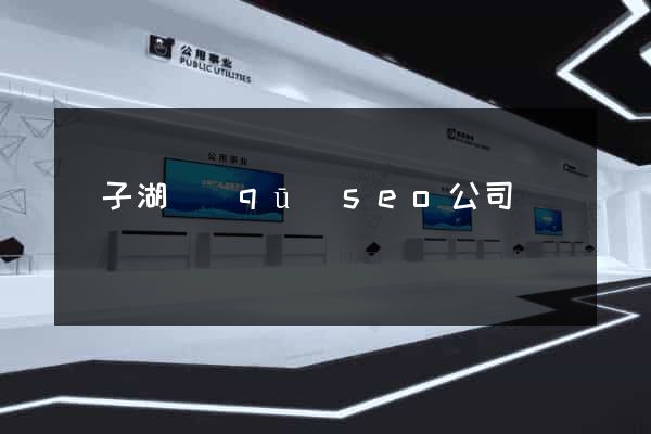 龍子湖區(qū)seo公司